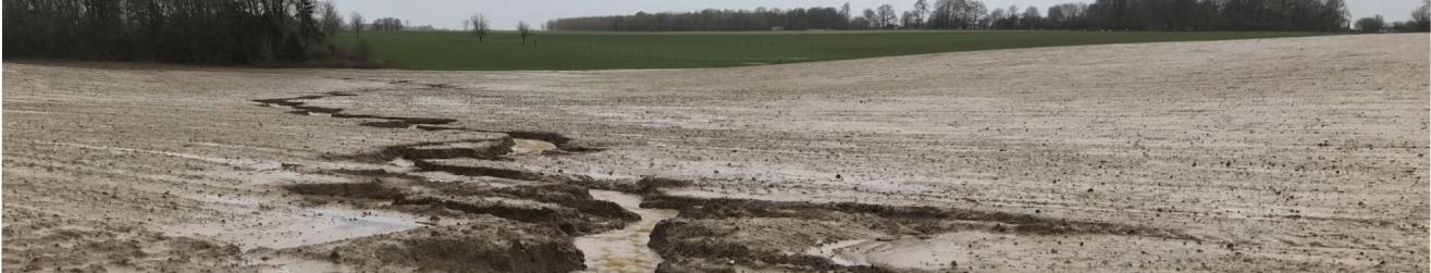 Image d'une parcel agroforestiere