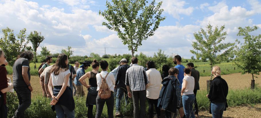 Photo d'une parcelle agroforestiere avec des gens dessus