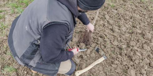 image de 5 personnes en train de travailler en plein air.